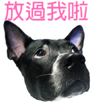 Jill Jill and Jake Jake 1 sticker #14648614