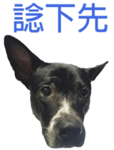 Jill Jill and Jake Jake 1 sticker #14648615