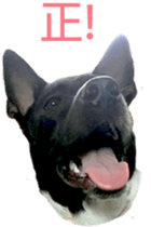 Jill Jill and Jake Jake 1 sticker #14648616