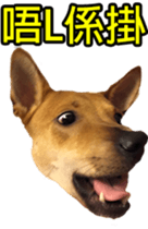 Jill Jill and Jake Jake 1 sticker #14648618