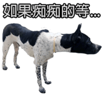 Jill Jill and Jake Jake 1 sticker #14648620