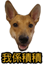 Jill Jill and Jake Jake 1 sticker #14648622