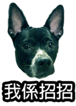 Jill Jill and Jake Jake 1 sticker #14648623