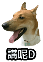 Jill Jill and Jake Jake 1 sticker #14648624