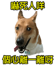 Jill Jill and Jake Jake 1 sticker #14648625