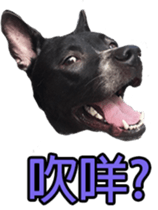 Jill Jill and Jake Jake 1 sticker #14648626