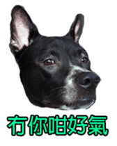 Jill Jill and Jake Jake 1 sticker #14648627