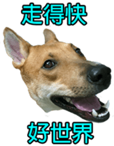 Jill Jill and Jake Jake 1 sticker #14648628