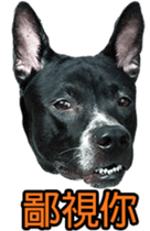 Jill Jill and Jake Jake 1 sticker #14648629