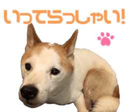 Marilyn family's brilliant cat dog story sticker #14648659