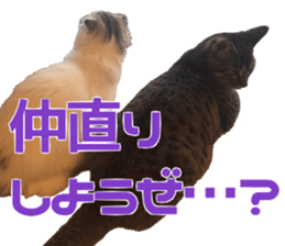 Marilyn family's brilliant cat dog story sticker #14648663