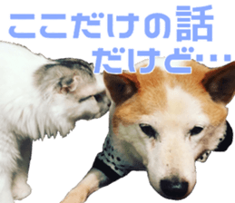 Marilyn family's brilliant cat dog story sticker #14648665