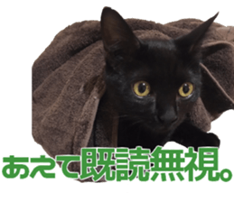 Marilyn family's brilliant cat dog story sticker #14648666