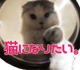 Marilyn family's brilliant cat dog story sticker #14648675