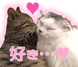 Marilyn family's brilliant cat dog story sticker #14648680