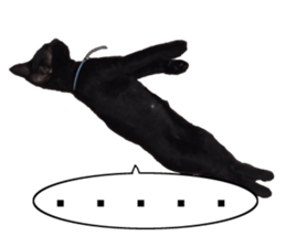 Marilyn family's brilliant cat dog story sticker #14648681