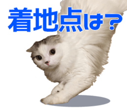 Marilyn family's brilliant cat dog story sticker #14648682