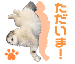 Marilyn family's brilliant cat dog story sticker #14648686