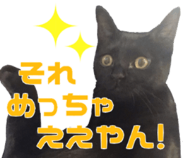 Marilyn family's brilliant cat dog story sticker #14648691