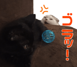 Marilyn family's brilliant cat dog story sticker #14648692