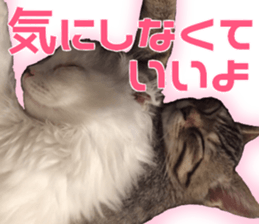 Marilyn family's brilliant cat dog story sticker #14648693