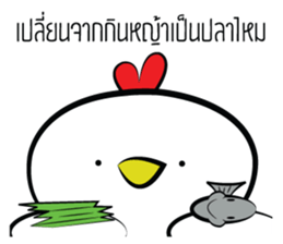 Kai ! sticker #14649988