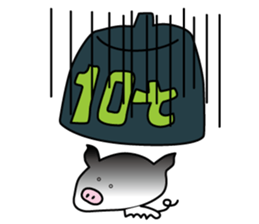 white pig. sticker #14650959