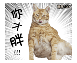 Cats TNR sticker #14652245