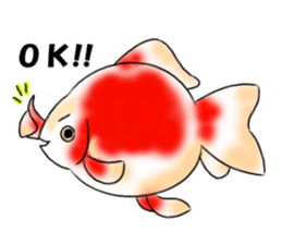 Goldfishes! sticker #14652847