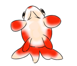 Goldfishes! sticker #14652849