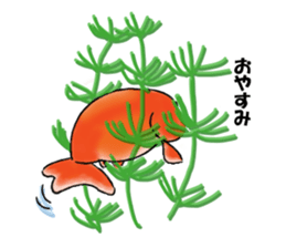 Goldfishes! sticker #14652851
