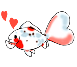 Goldfishes! sticker #14652852