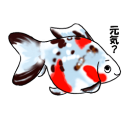 Goldfishes! sticker #14652856