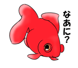 Goldfishes! sticker #14652858