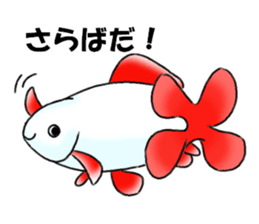 Goldfishes! sticker #14652860