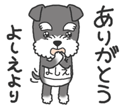 Dog with a bib of the name called Yoshie sticker #14652910