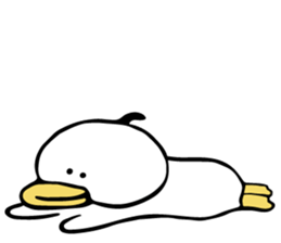 stupid duck 02 sticker #14653722