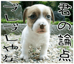 MIEDOG Jack Russell terrier sticker 7 sticker #14654306