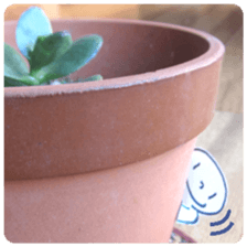 (English)Mr.photograph sticker #14656010