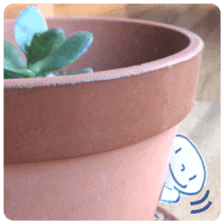 (English)Mr.photograph sticker #14656010