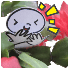 (English)Mr.photograph sticker #14656016
