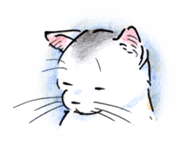 Buchineko is anxious sticker #14657478