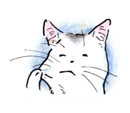 Buchineko is anxious sticker #14657479