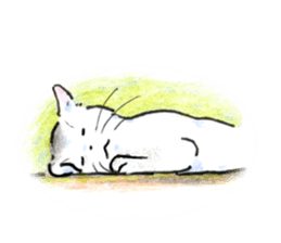 Buchineko is anxious sticker #14657482