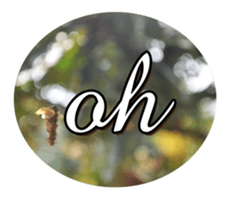 EZ Indonesian Sticker sticker #14658709