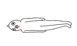 Bustling fish animated sticker #14661024