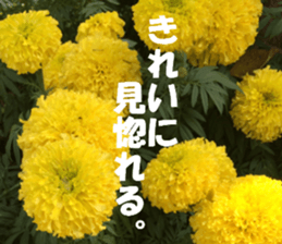 Thailand's sticker sticker #14661839