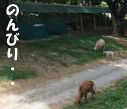 Thailand's sticker sticker #14661849