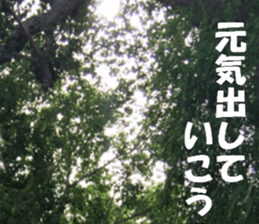 Thailand's sticker sticker #14661868