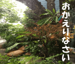 Thailand's sticker sticker #14661873